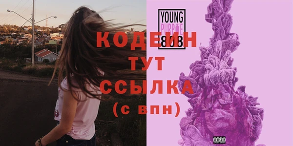 стаф Белокуриха