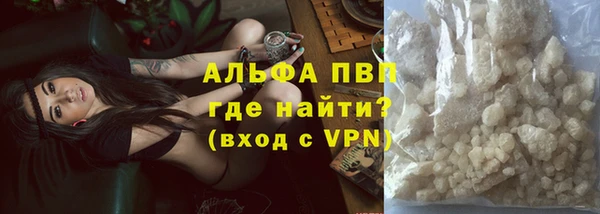 стаф Белокуриха