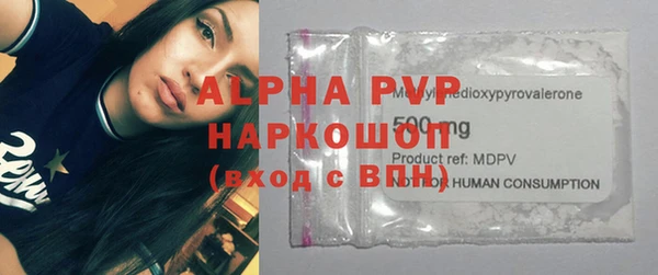 стаф Белокуриха