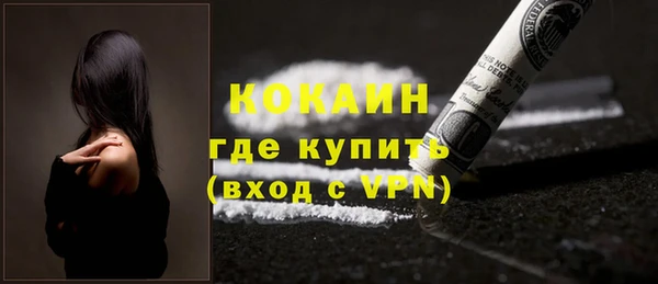 стаф Белокуриха