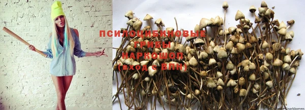 марихуана Беломорск