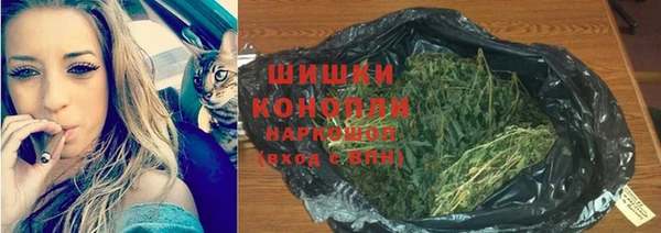 стаф Белокуриха