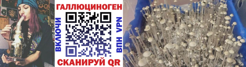 omg Барабинск мориарти наркотические препараты Псилоцибиновые грибы мицелий